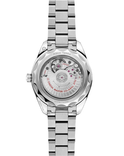Omega Seamaster Aqua Terra 150M 220.10.30.20.03.001