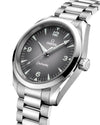 Omega Seamaster Railmaster Mens Watch 235.10.38.20.06.001