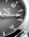 Omega Seamaster Railmaster Mens Watch 235.10.38.20.06.001
