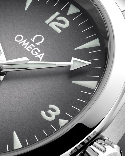 Omega Seamaster Railmaster Mens Watch 235.10.38.20.06.001
