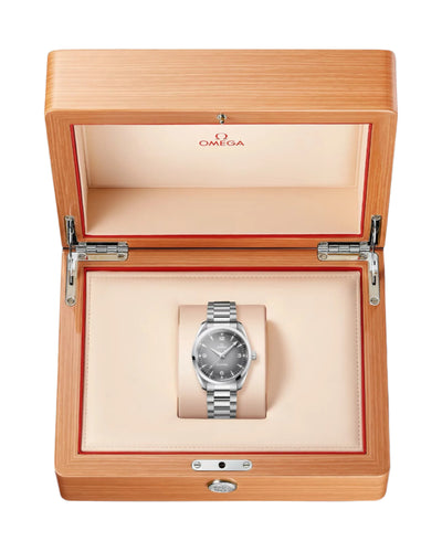 Omega Seamaster Railmaster Mens Watch 235.10.38.20.06.001