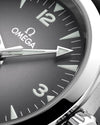 Omega Seamaster Railmaster Watch 235.12.38.20.06.001