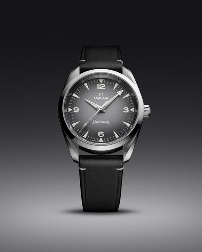 Omega Seamaster Railmaster Watch 235.12.38.20.06.001
