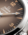 Omega Seamaster Railmaster Watch 235.10.38.20.13.001