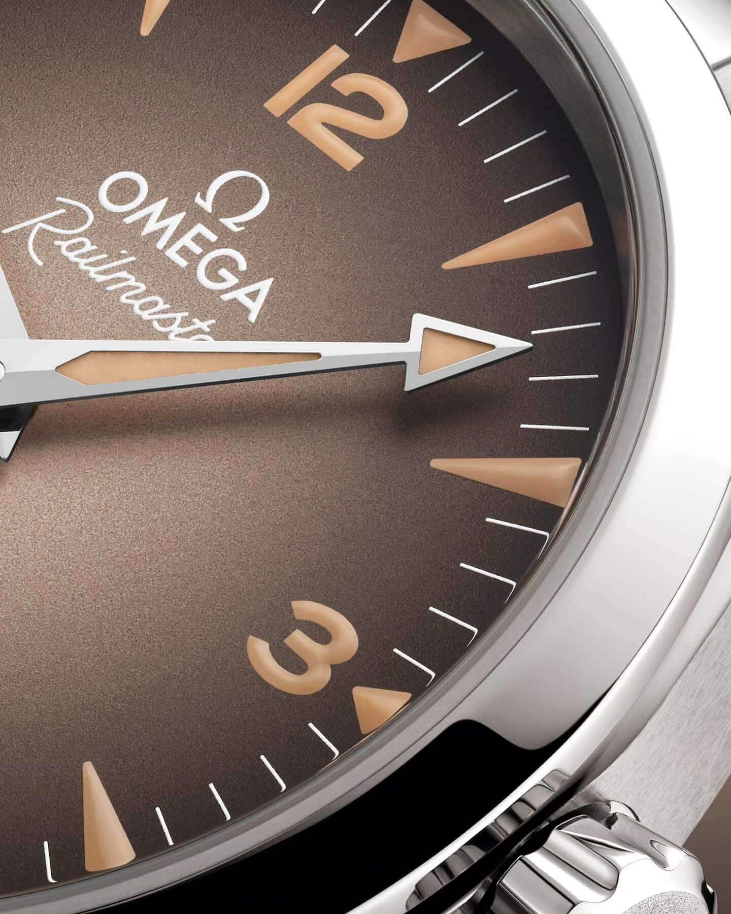 Omega Seamaster Railmaster Watch 235.10.38.20.13.001