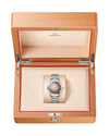 Omega Seamaster Railmaster Watch 235.10.38.20.13.001