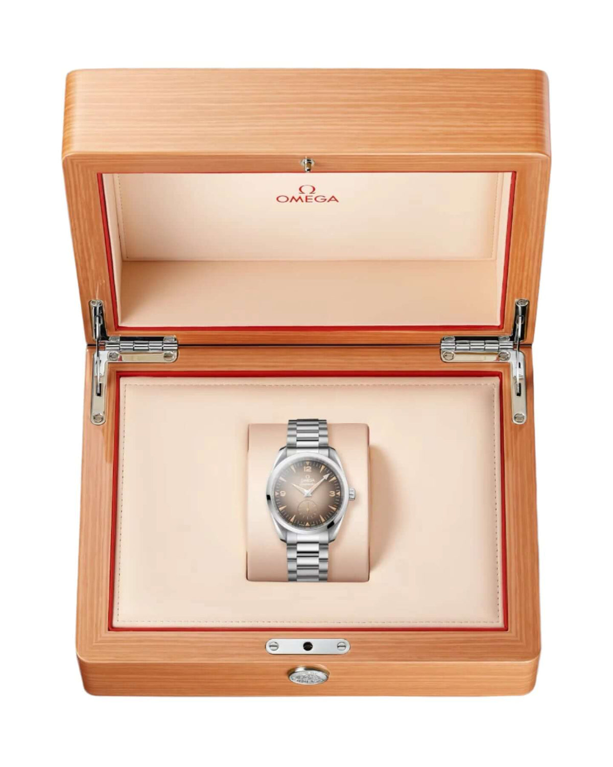 Omega Seamaster Railmaster Watch 235.10.38.20.13.001