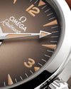 Omega Seamaster Railmaster Watch 235.12.38.20.13.001