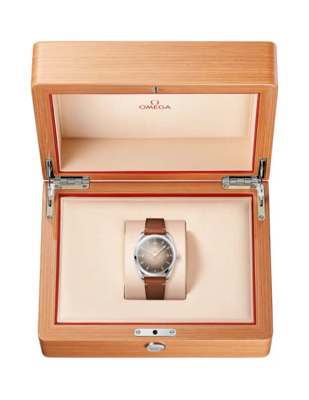 Omega Seamaster Railmaster Watch 235.12.38.20.13.001