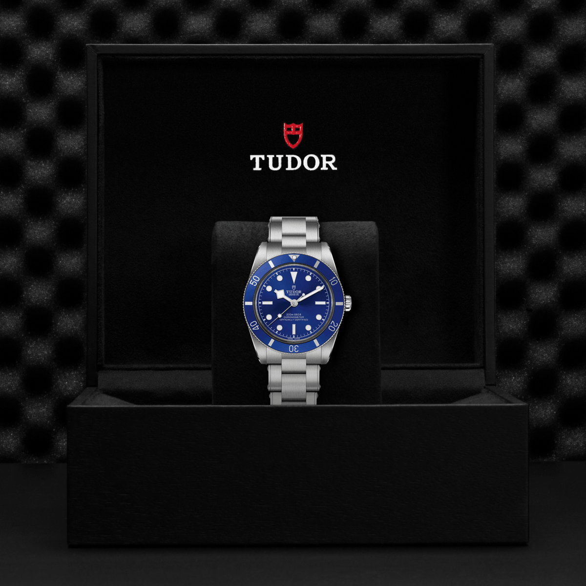 Tudor watch with blue face and silver case on a black display stand against a dark textured background.

Tudor Black Bay 54 M79000B-0001 Bandiera Jewellers