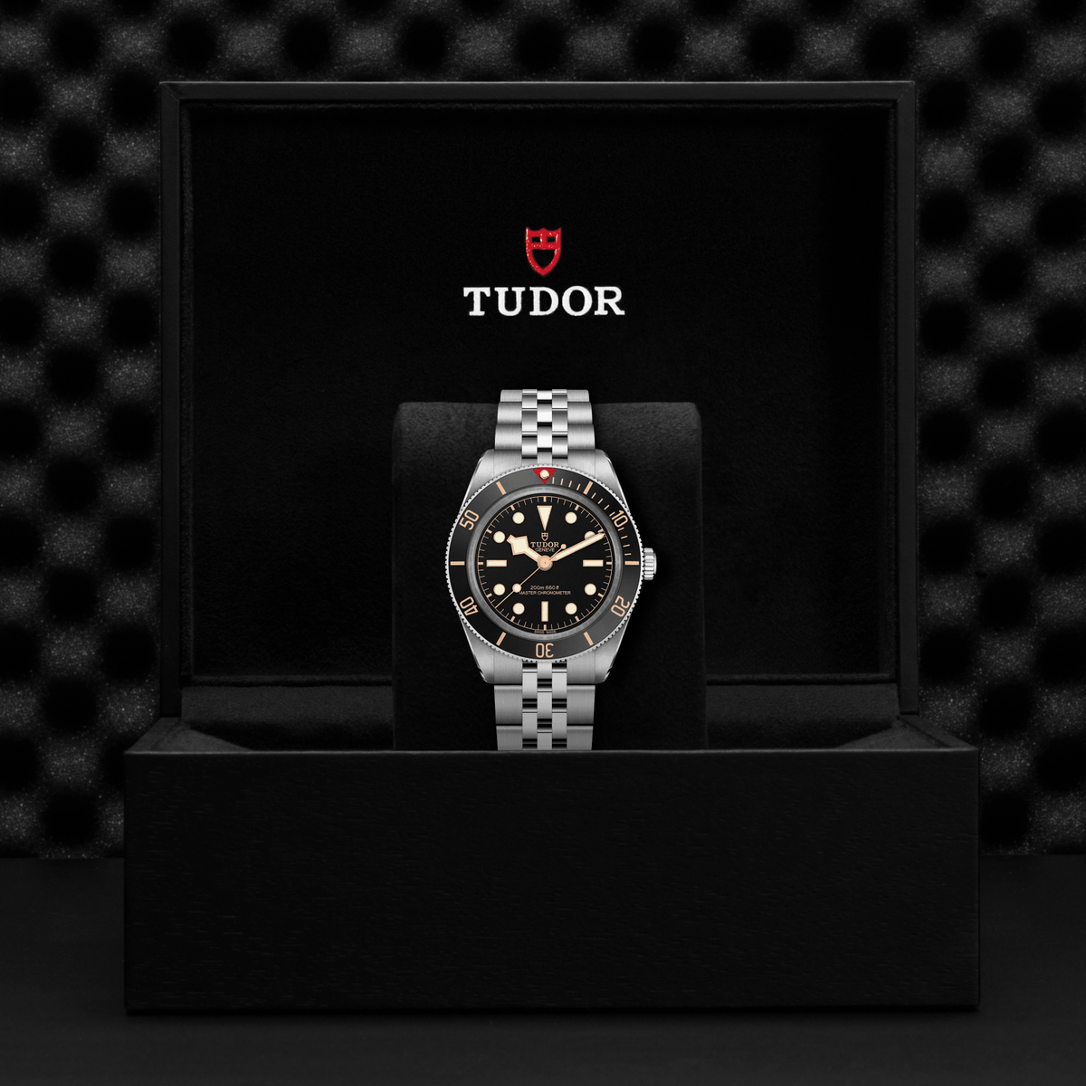 Tudor watch in a black display case with a checkered pattern background

Tudor Black Bay 58 M7939A1A0NU-0001 Bandiera Jewellers