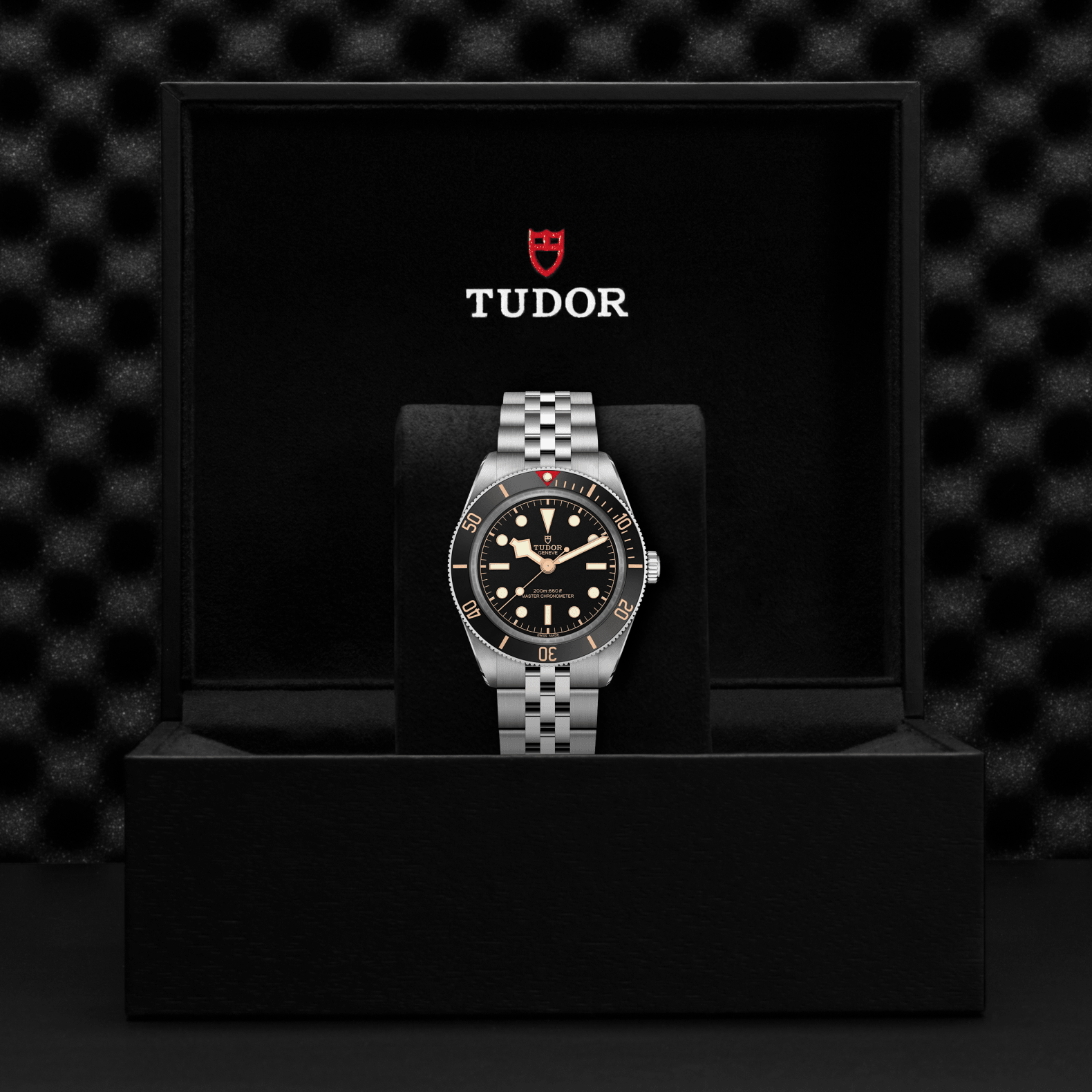 Tudor watch in a black display case with a checkered pattern background

Tudor Black Bay 58 M7939A1A0NU-0001 Bandiera Jewellers