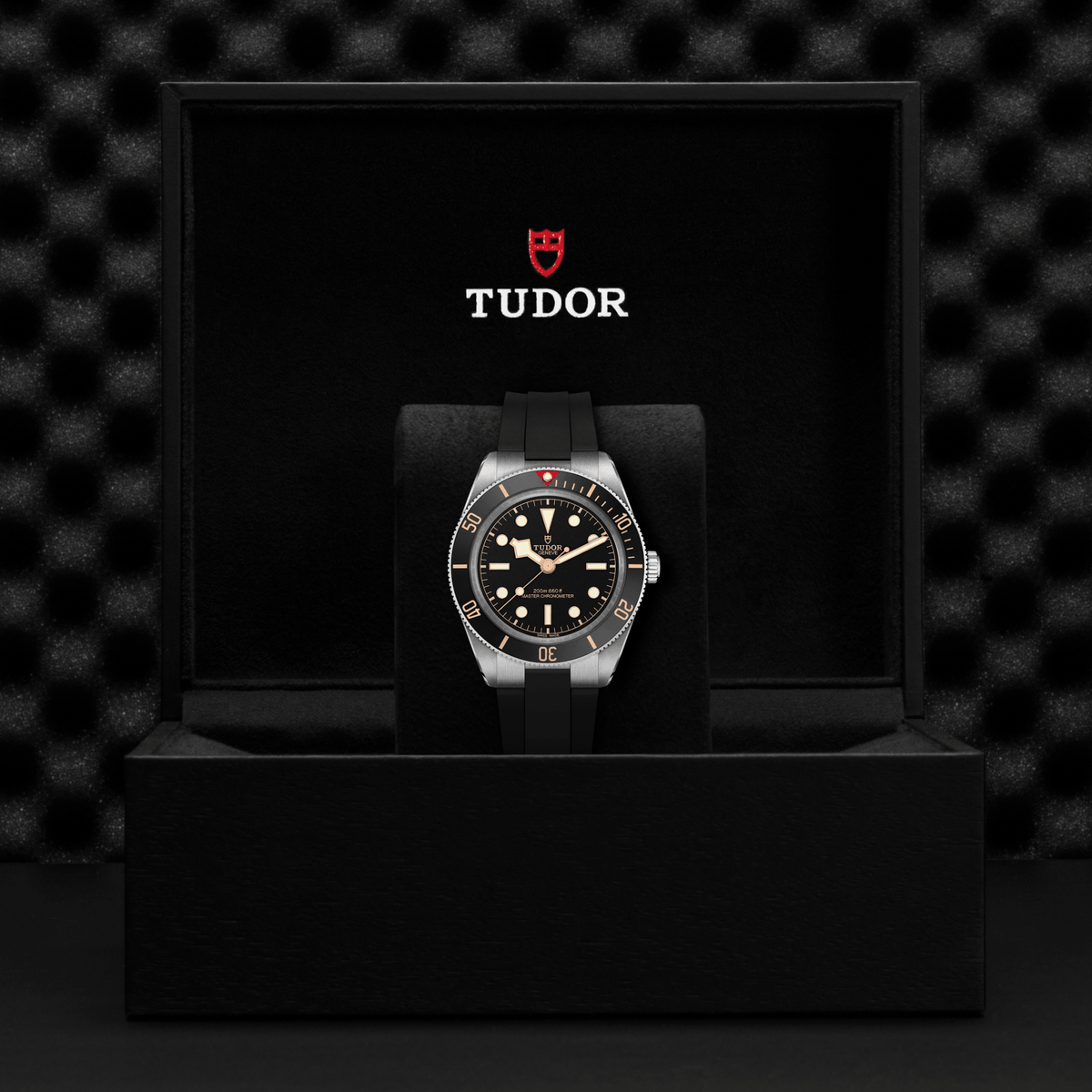 Tudor watch in a black display case with a dark textured background

Tudor Black Bay 58 M7939A1A0NU-0003 Bandiera Jewellers