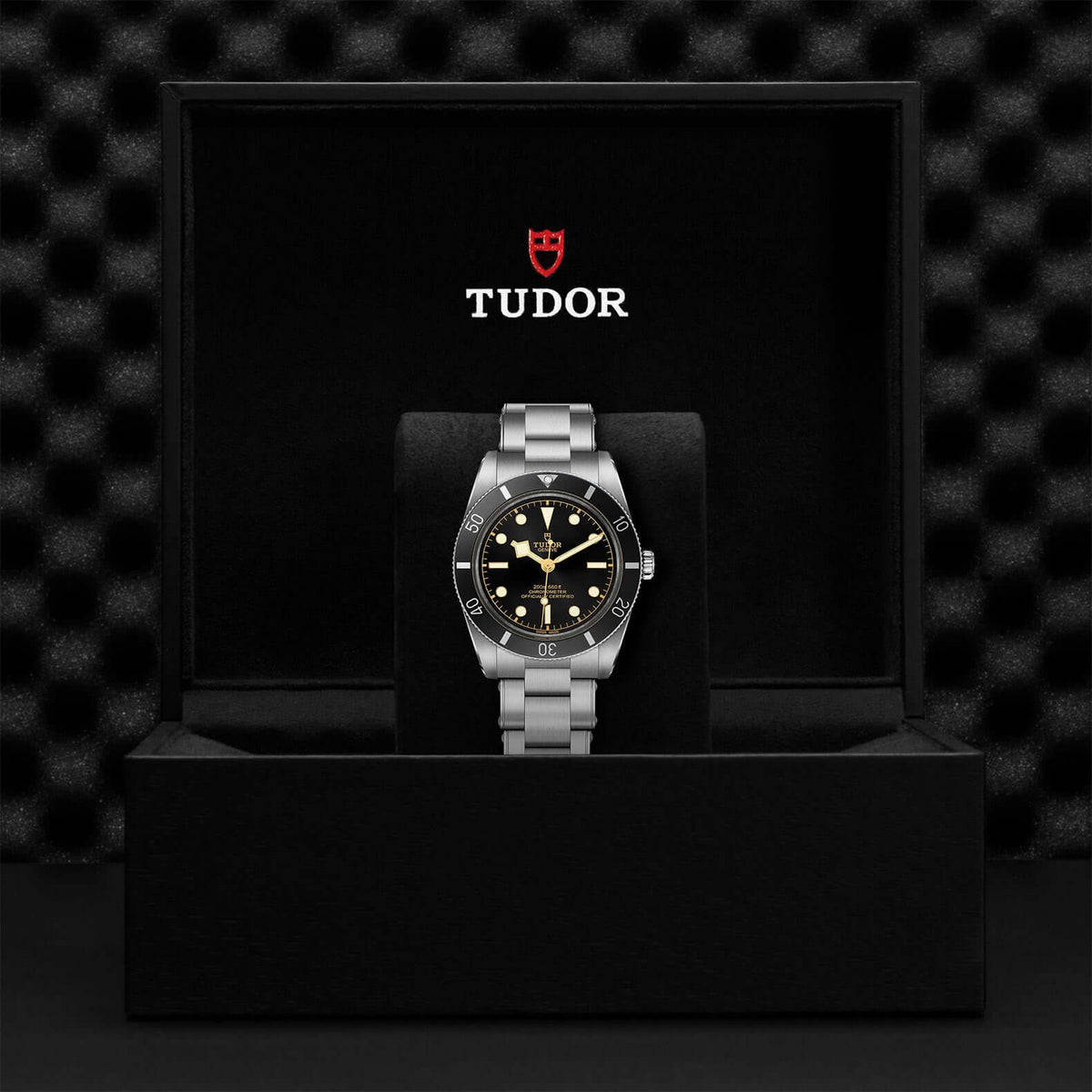 Tudor Black Bay Fifty-Four M79000N-0001 at Bandiera Jewellers Vaughan