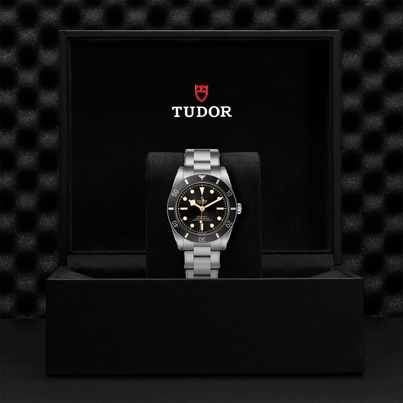 Tudor Black Bay Fifty-Four M79000N-0001 at Bandiera Jewellers Vaughan