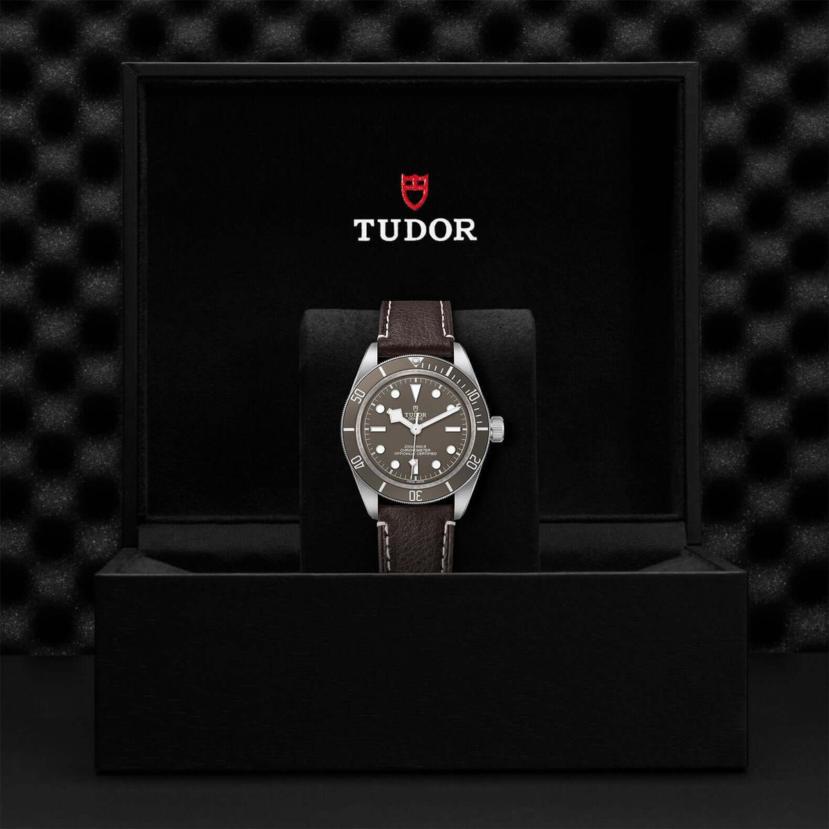 Tudor Black Bay Fifty-Eight 925 M79010SG-0001 Bandiera Jeweller Vaughan