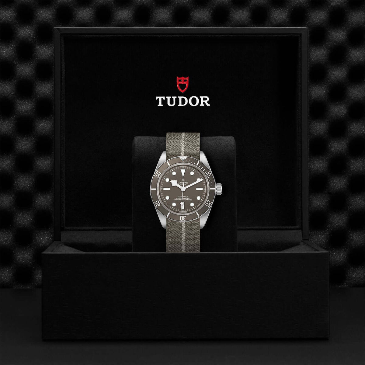 Tudor Black Bay Fifty-Eight M79030B-0002 at Bandiera Jewellers Vaughan