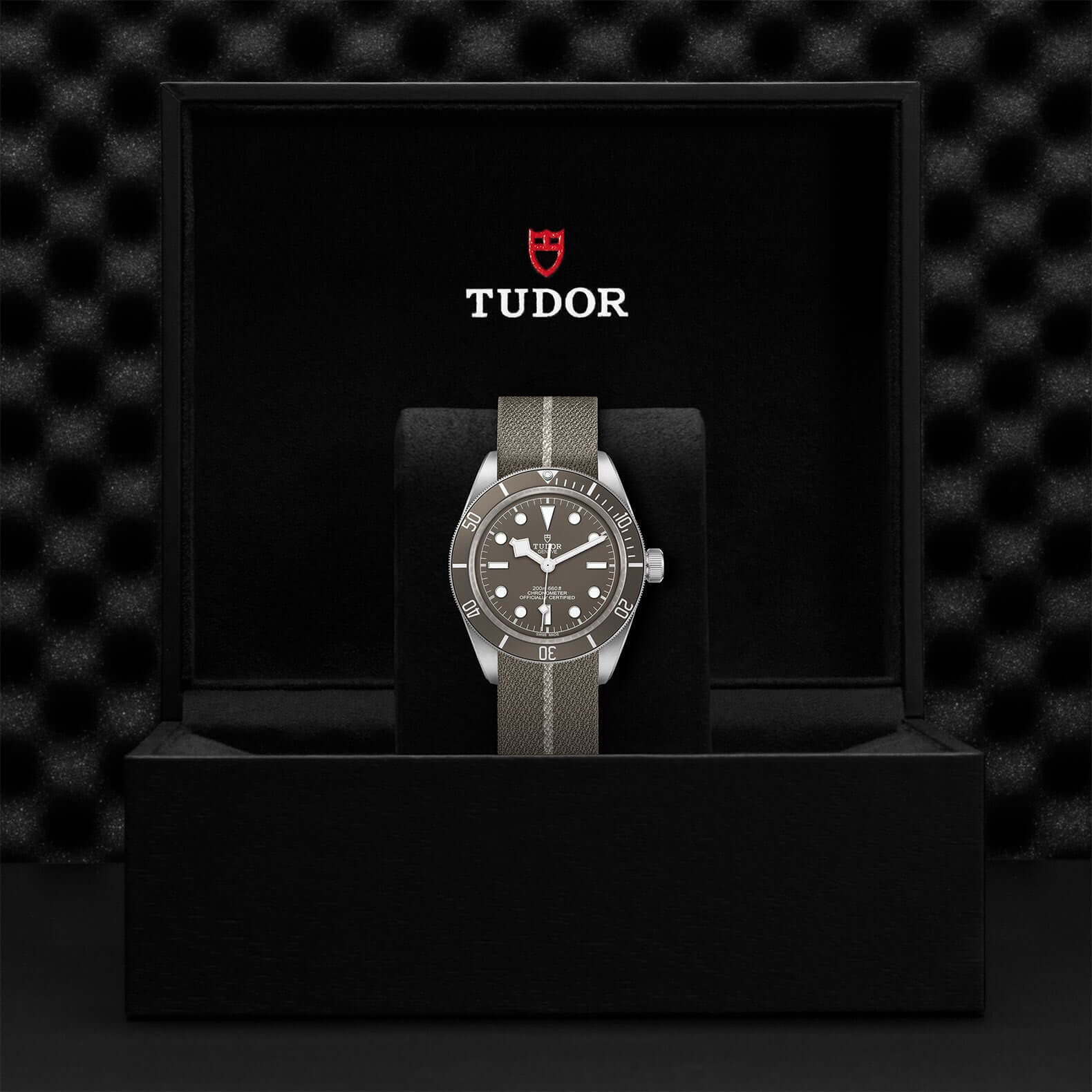 Tudor Black Bay Fifty-Eight M79030B-0002 at Bandiera Jewellers Vaughan