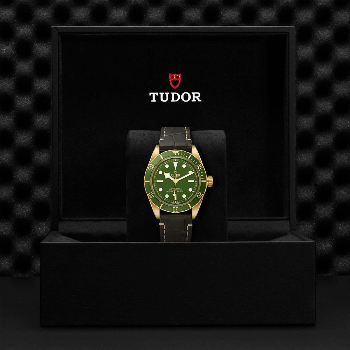 Tudor Black Bay Fifty-Eight 18k M79018V-0001Bandiera Jewellers Vaughan