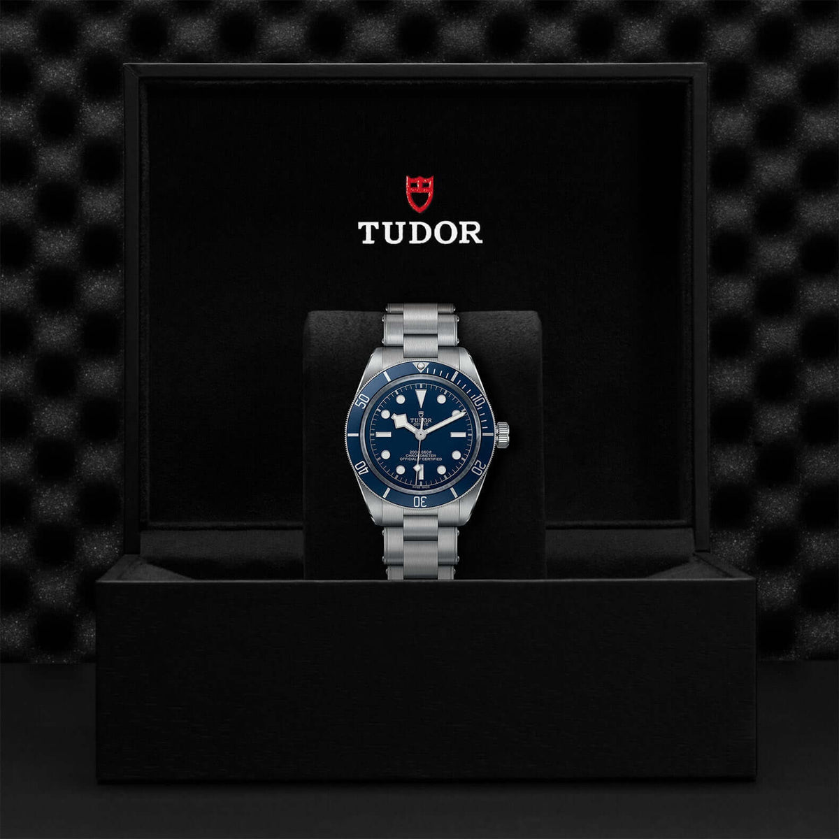 Tudor Black Bay Fifty-Eight M79030B-0001 at Bandiera Jewellers Vaughan