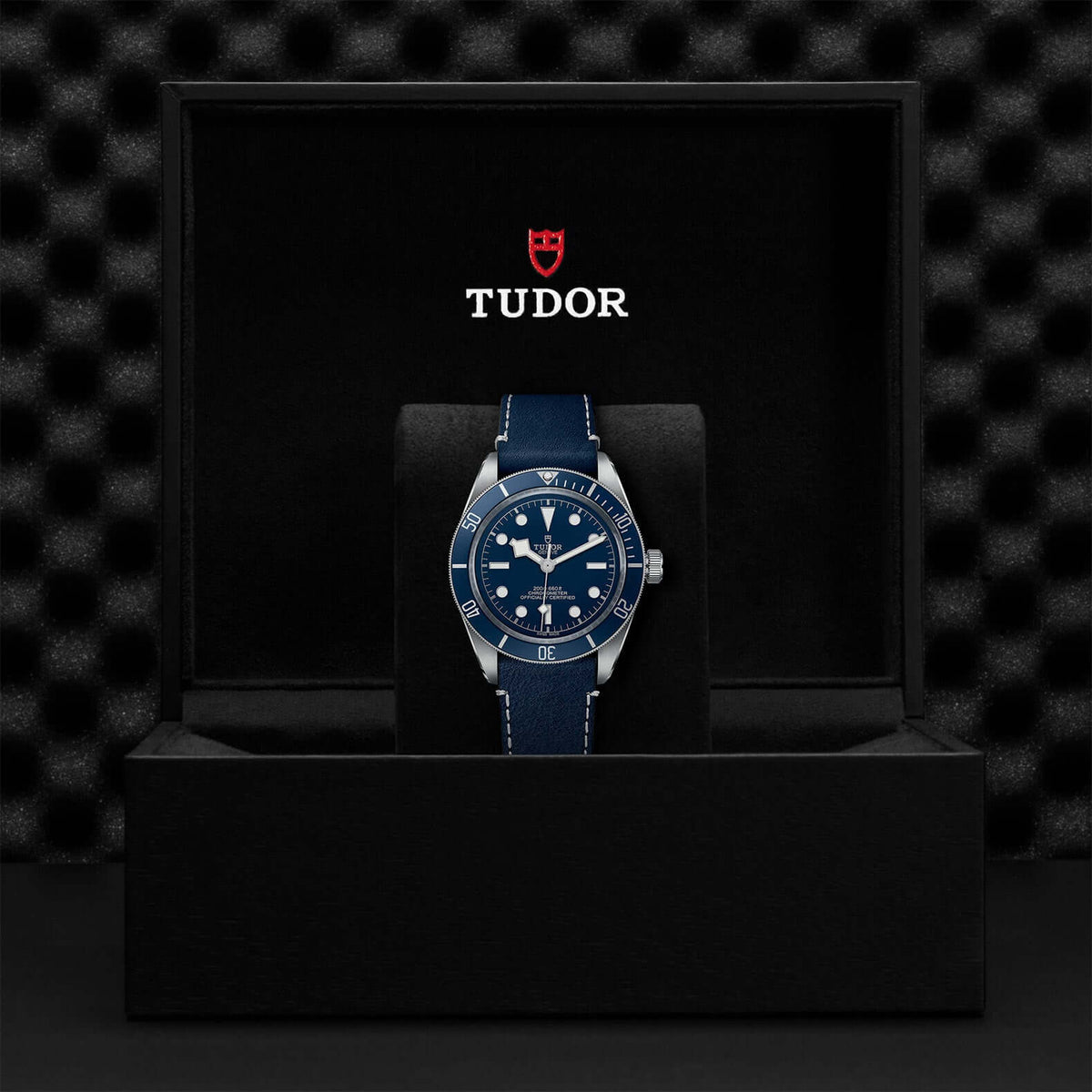 Tudor Black Bay Fifty-Eight M79030B-0002 at Bandiera Jewellers Vaughan