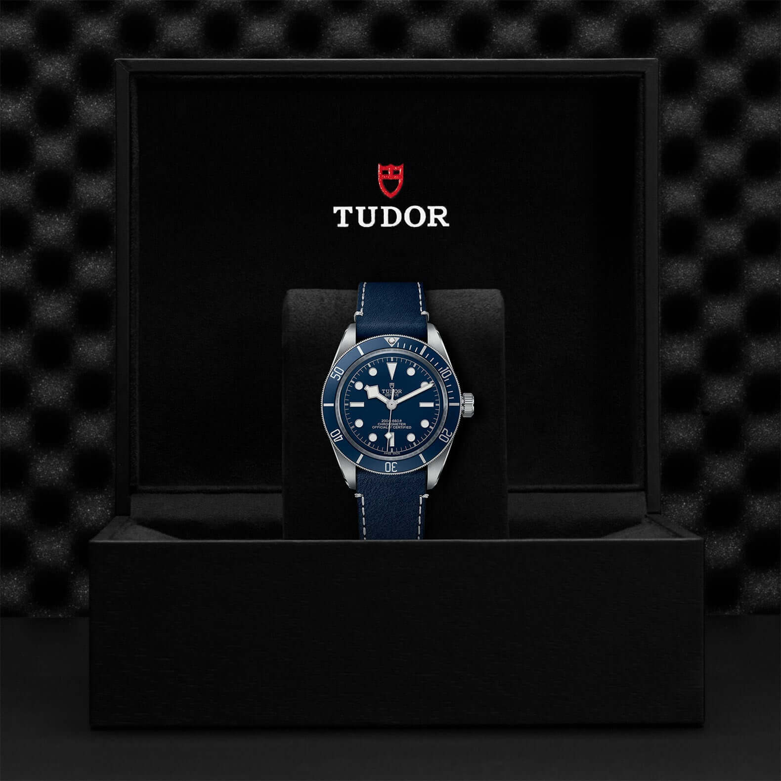 Tudor Black Bay Fifty-Eight M79030B-0002 at Bandiera Jewellers Vaughan