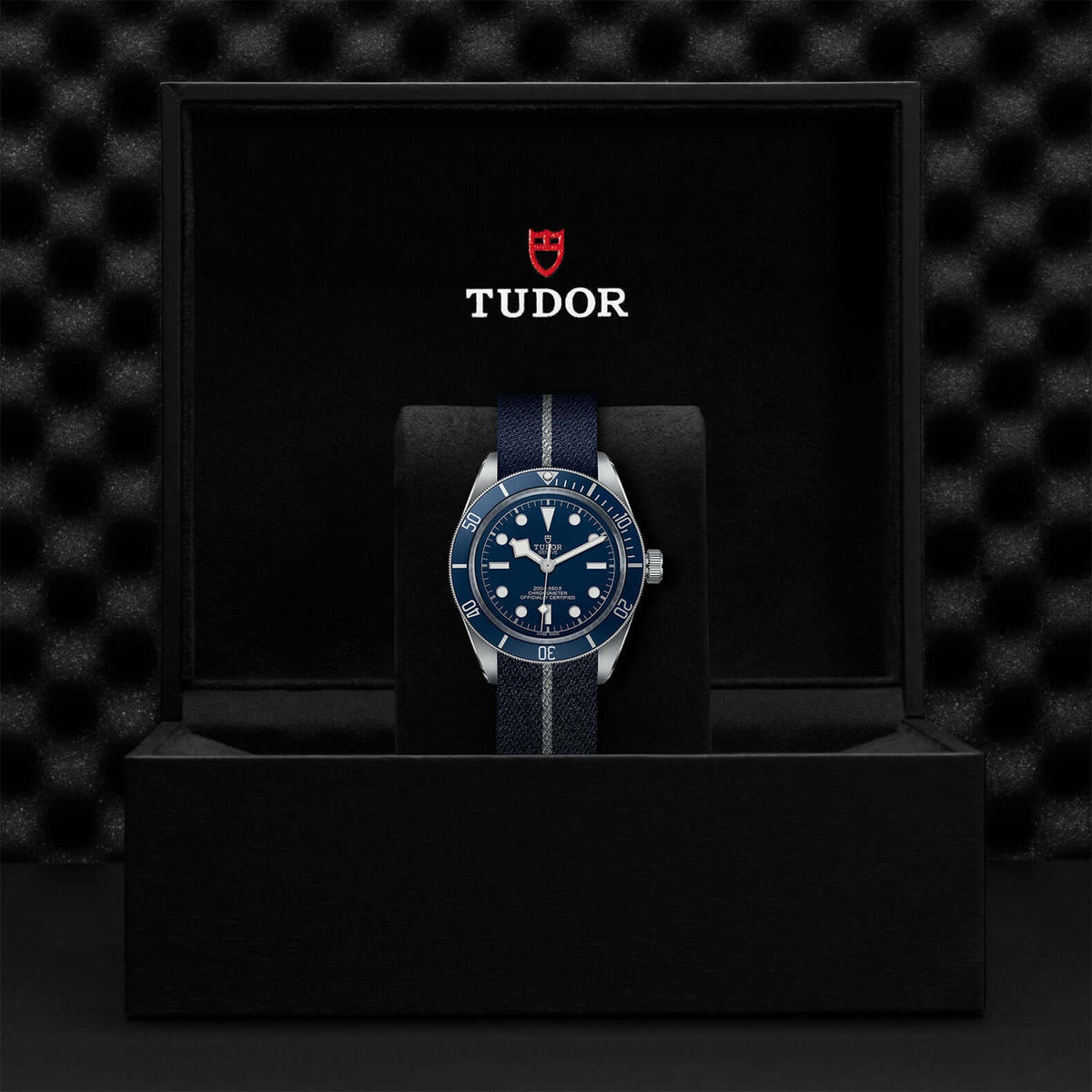 Tudor Black Bay Fifty-Eight M79030B-0003 at Bandiera Jewellers Vaughan