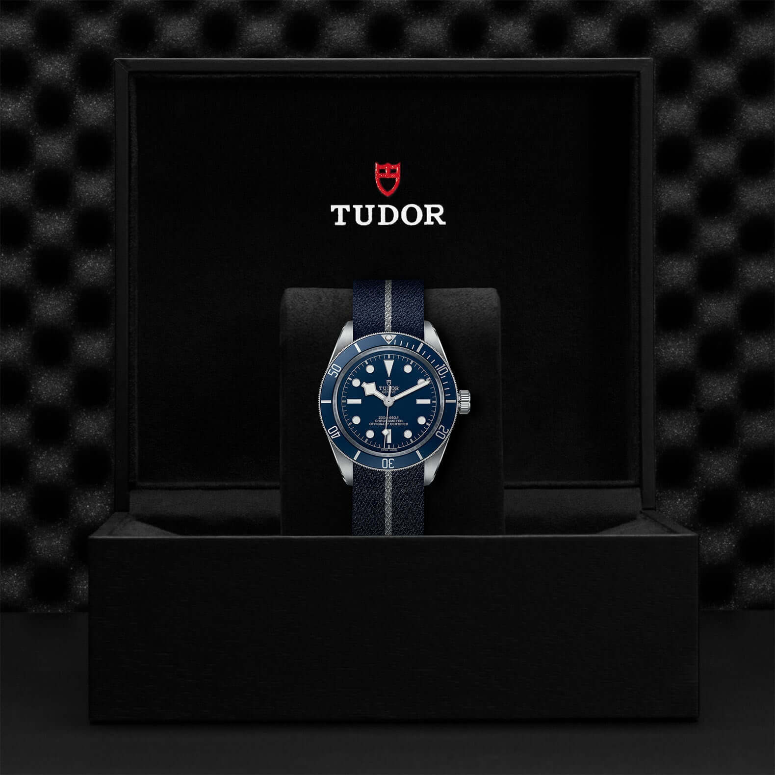 Tudor Black Bay Fifty-Eight M79030B-0003 at Bandiera Jewellers Vaughan