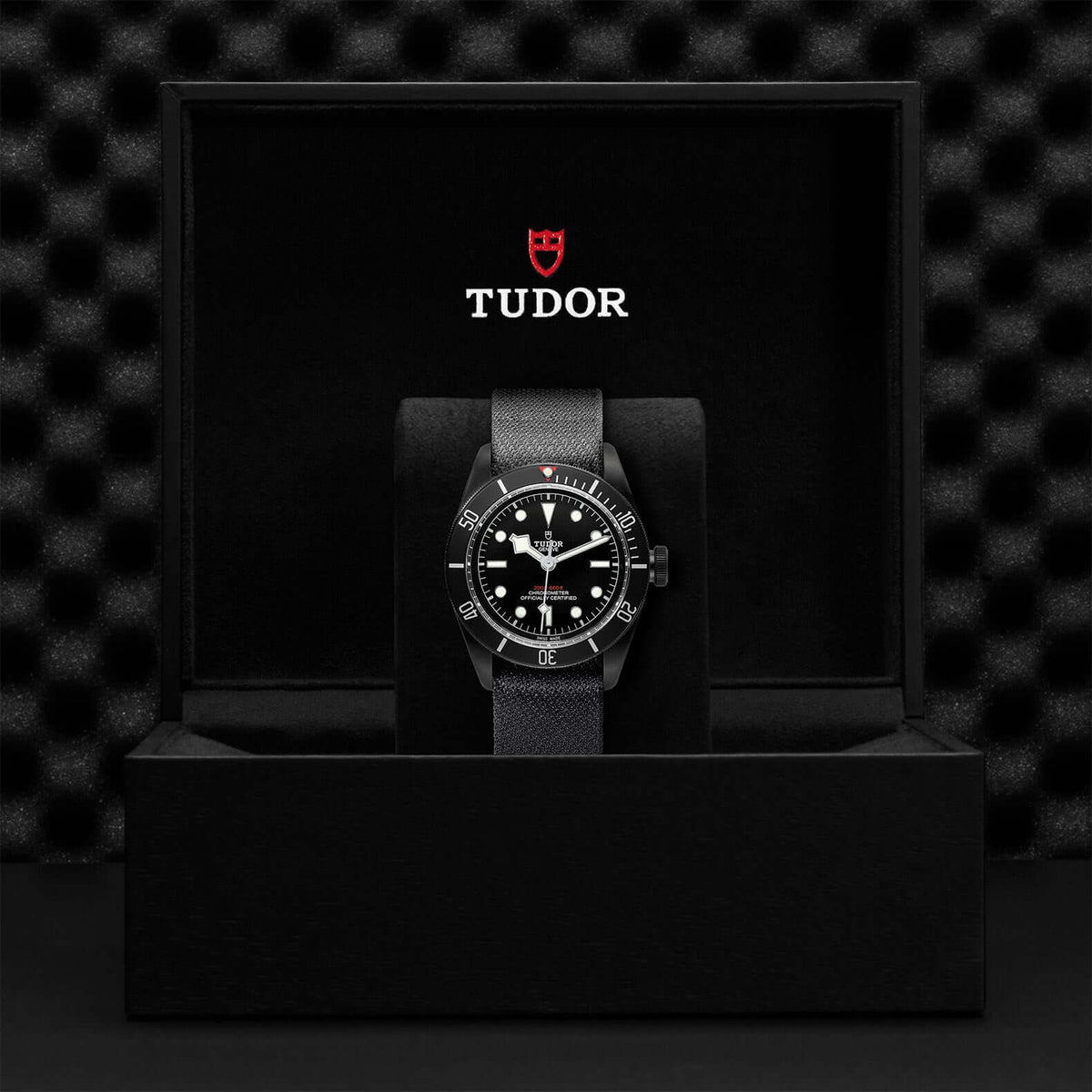 Tudor Black Bay Dark M79230DK-0006 at Bandiera Jewellers Vaughan