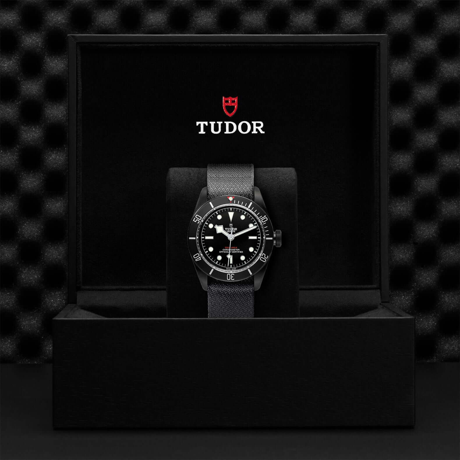 Tudor Black Bay Dark M79230DK-0006 at Bandiera Jewellers Vaughan