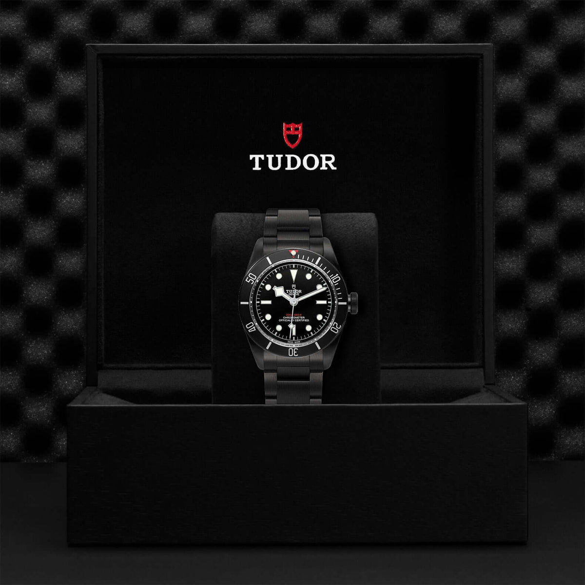 Tudor Black Bay Dark M79230DK-0008 at Bandiera Jewellers Vaughan
