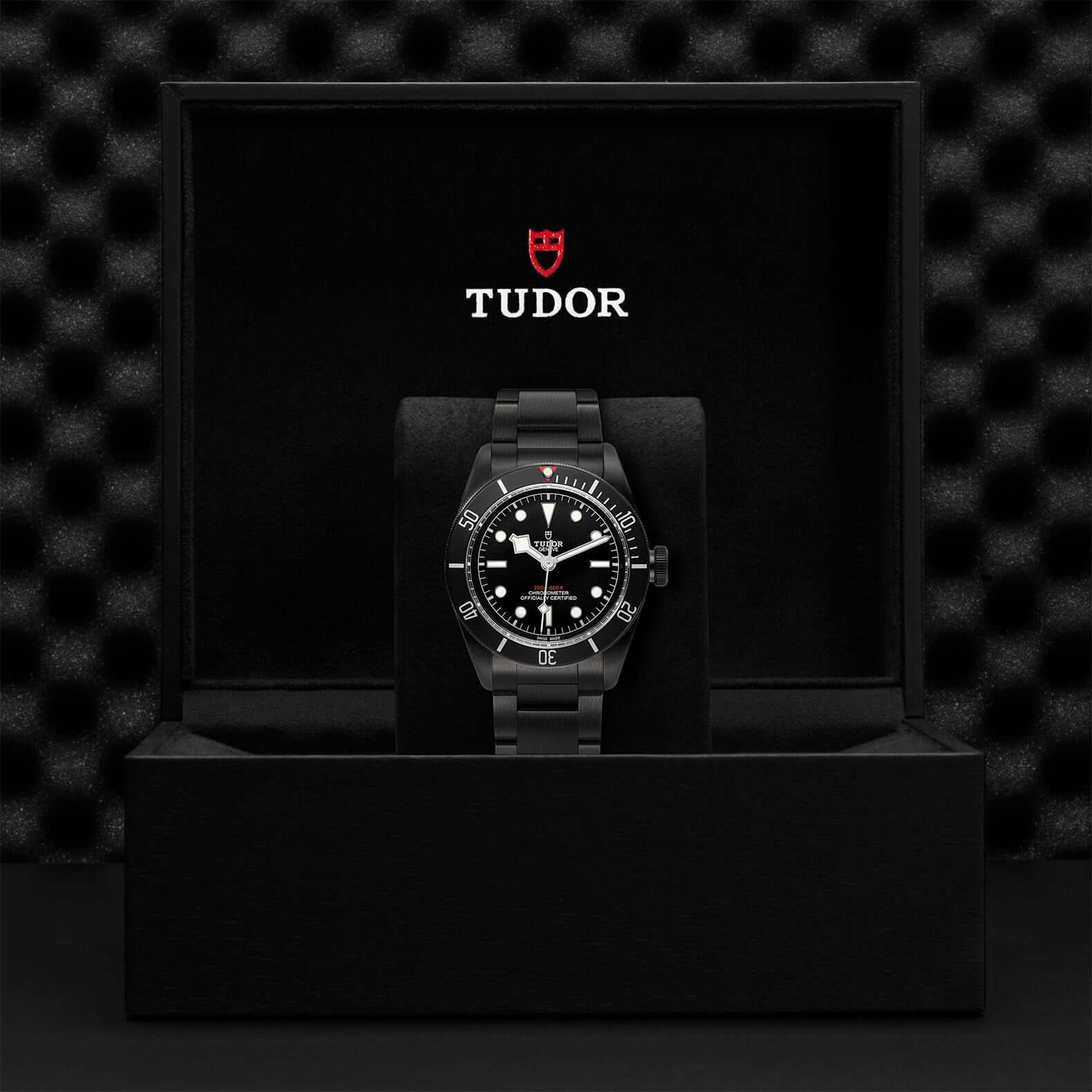 Tudor Black Bay Dark M79230DK-0008 at Bandiera Jewellers Vaughan