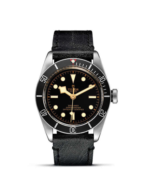 Tudor Black Bay