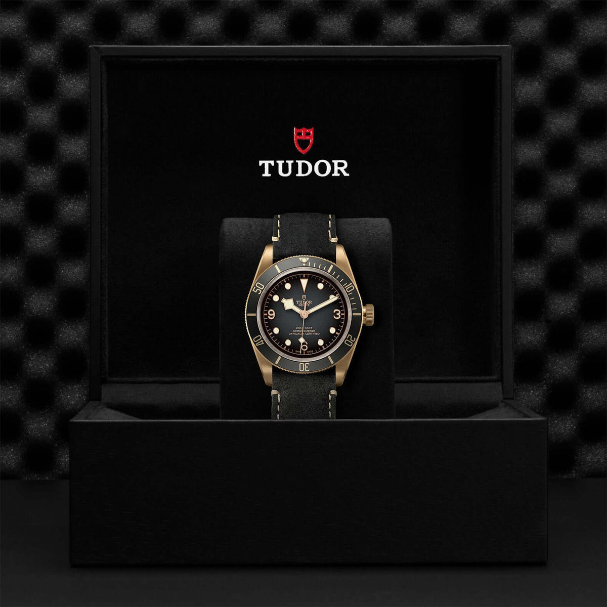 Tudor Black Bay Bronze M79250BA-001 Bandiera Jewellers