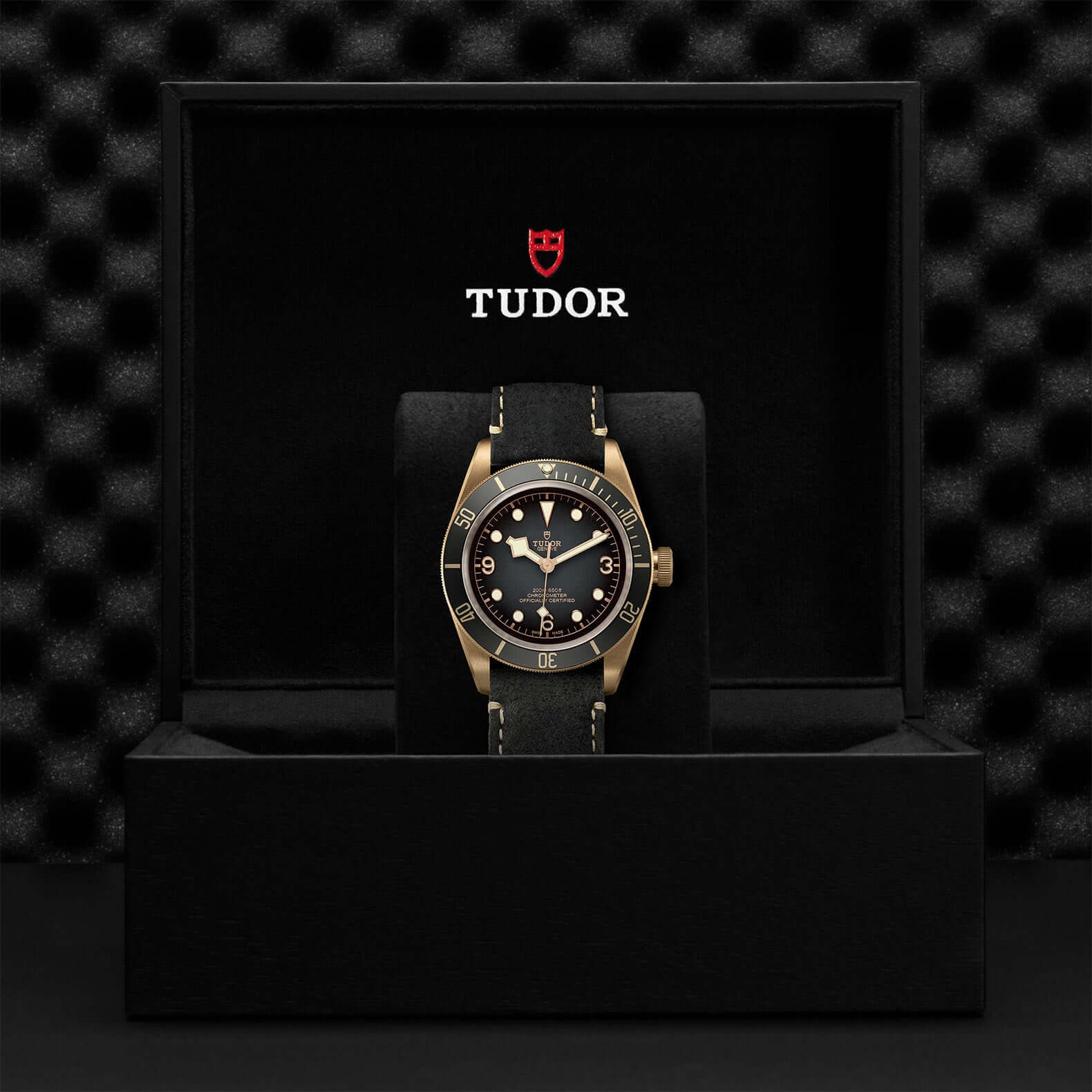 Tudor Black Bay Bronze M79250BA-001 Bandiera Jewellers