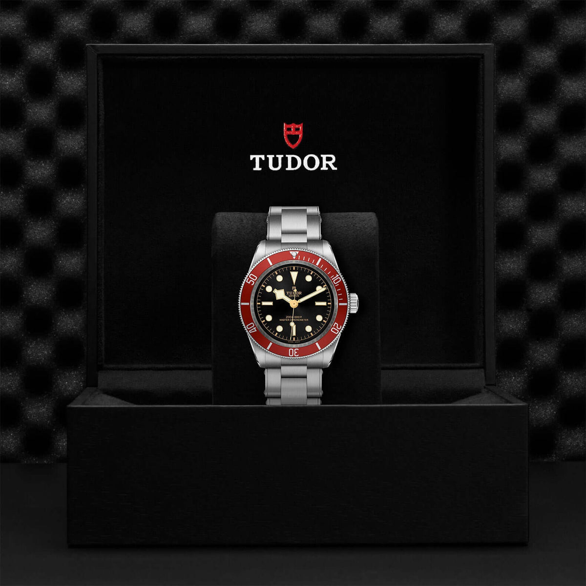 Tudor Black Bay M7941A1A0RU-0001 Bandiera Jewellers Vaughan
