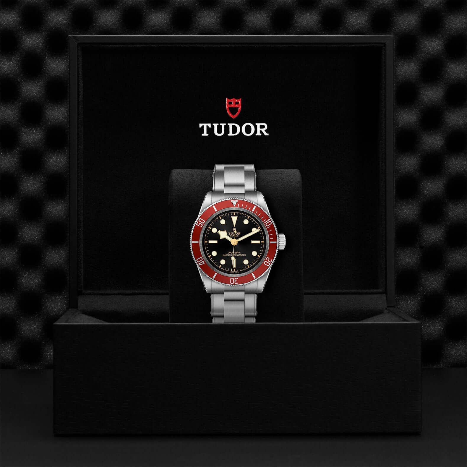 Tudor Black Bay M7941A1A0RU-0001 Bandiera Jewellers Vaughan