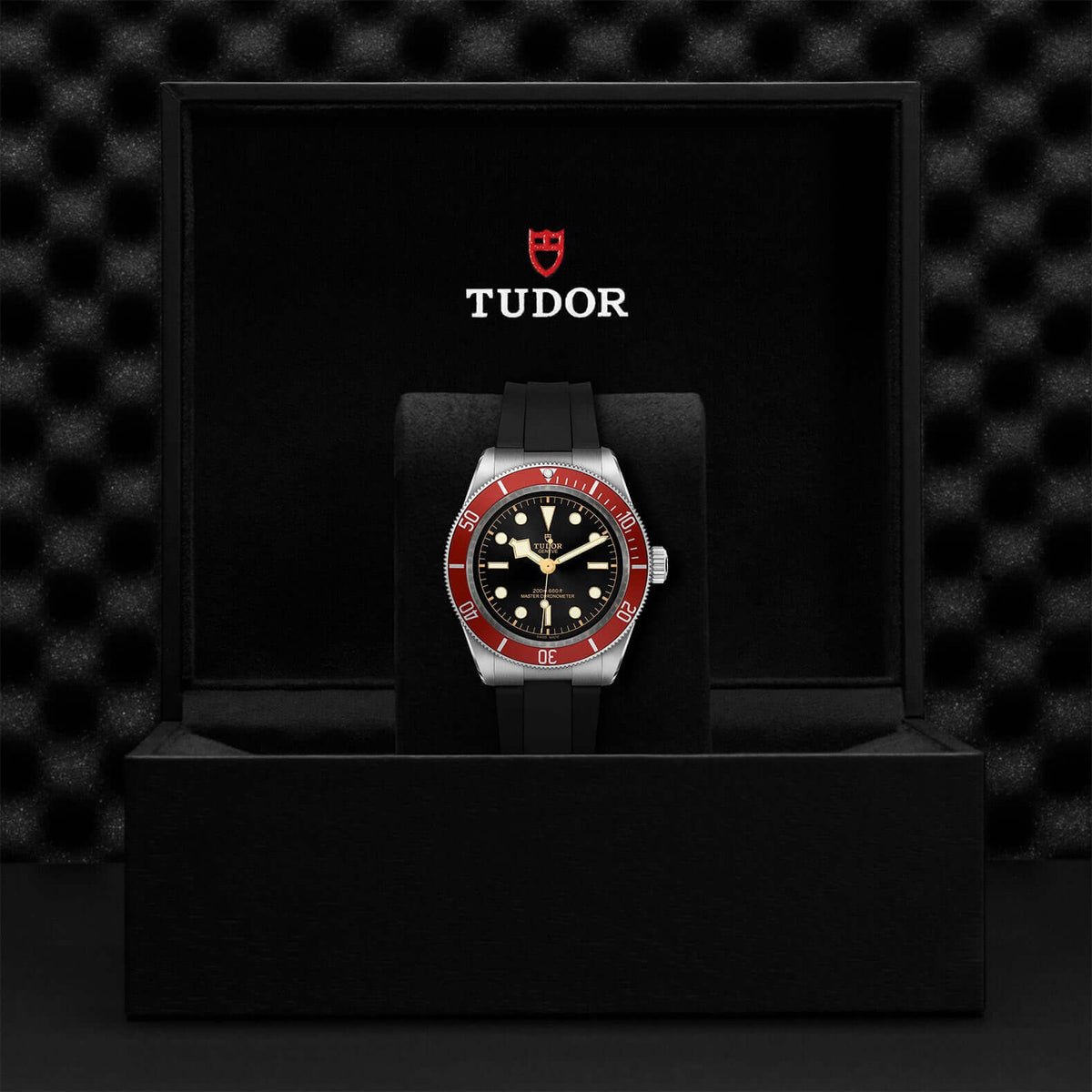 Tudor Black Bay M7941A1A0RU-0002 at Bandiera Jewellers