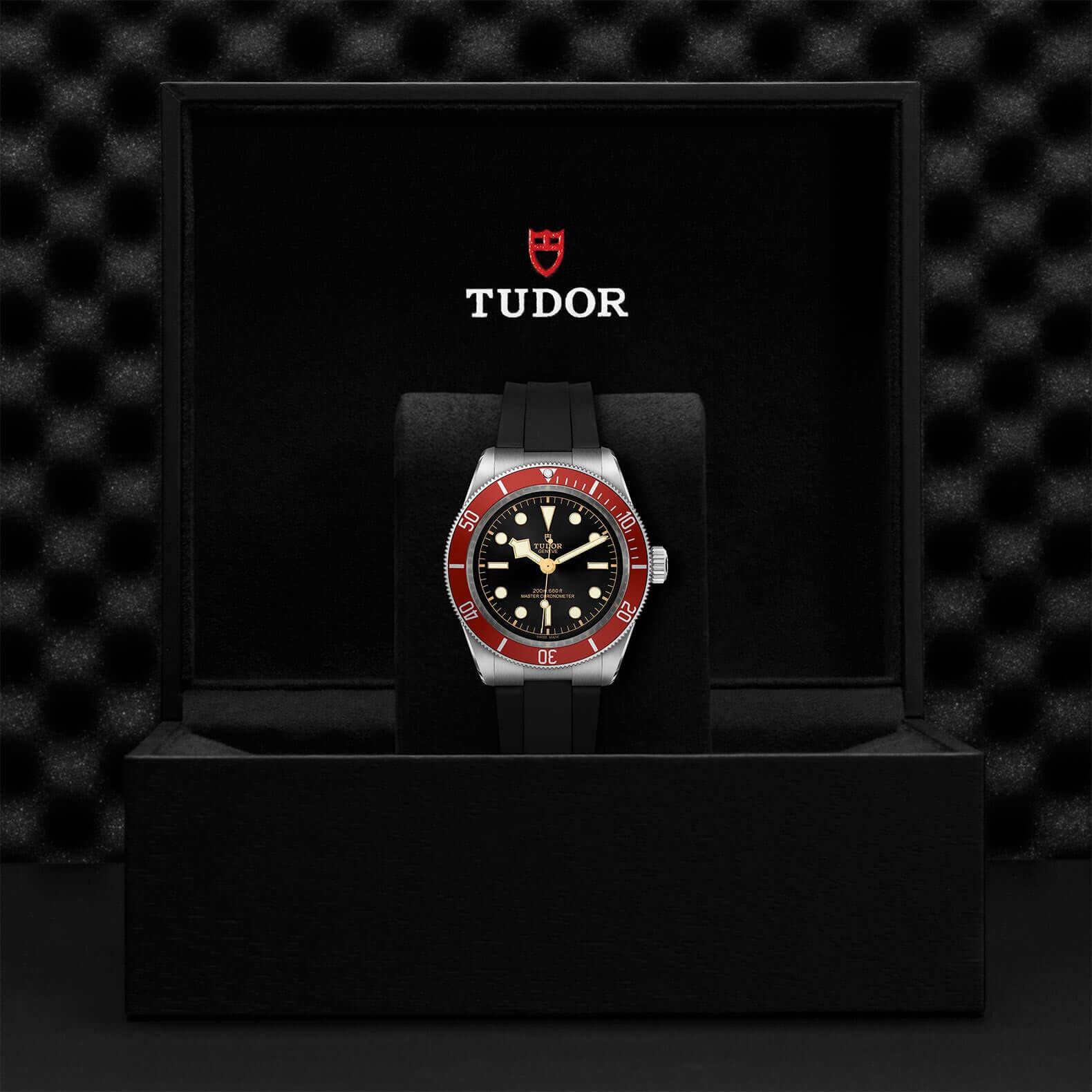 Tudor Black Bay M7941A1A0RU-0002 at Bandiera Jewellers