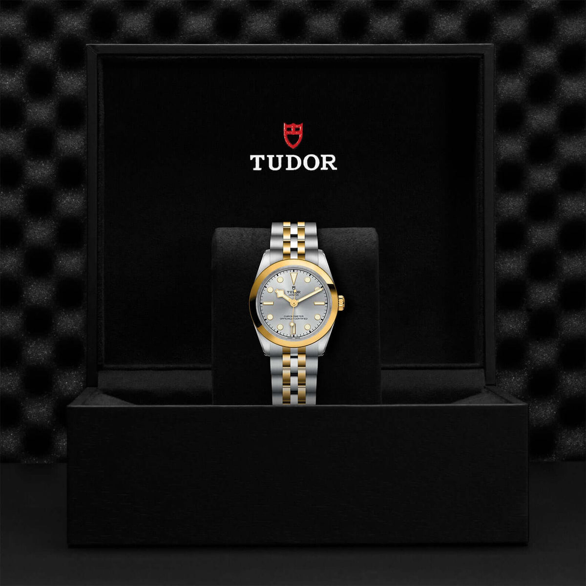 Tudor Black Bay 31 S&G M79603-0002 at Bandiera Jewellers Vaughan
