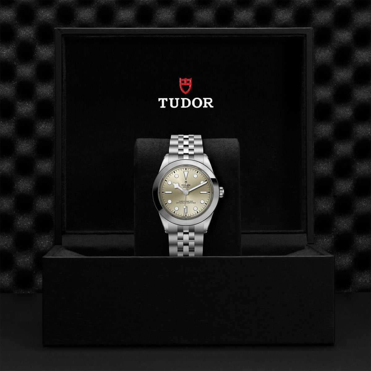Tudor Black Bay 39 M79660-0003 at Bandiera Jewellers Vaughan