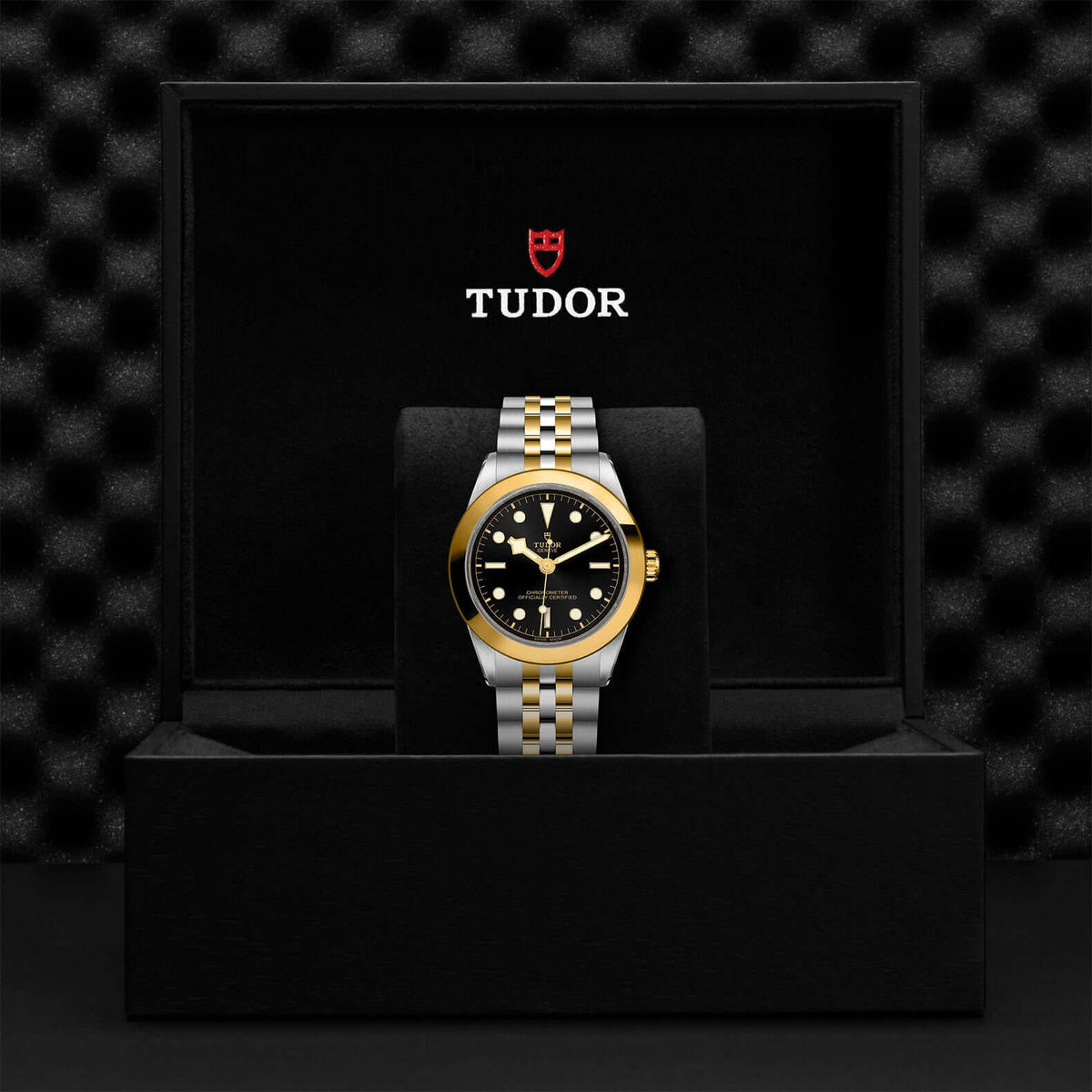 Tudor Black Bay 39 S&G M79663-0001 at Bandiera Jewellers Vaughan