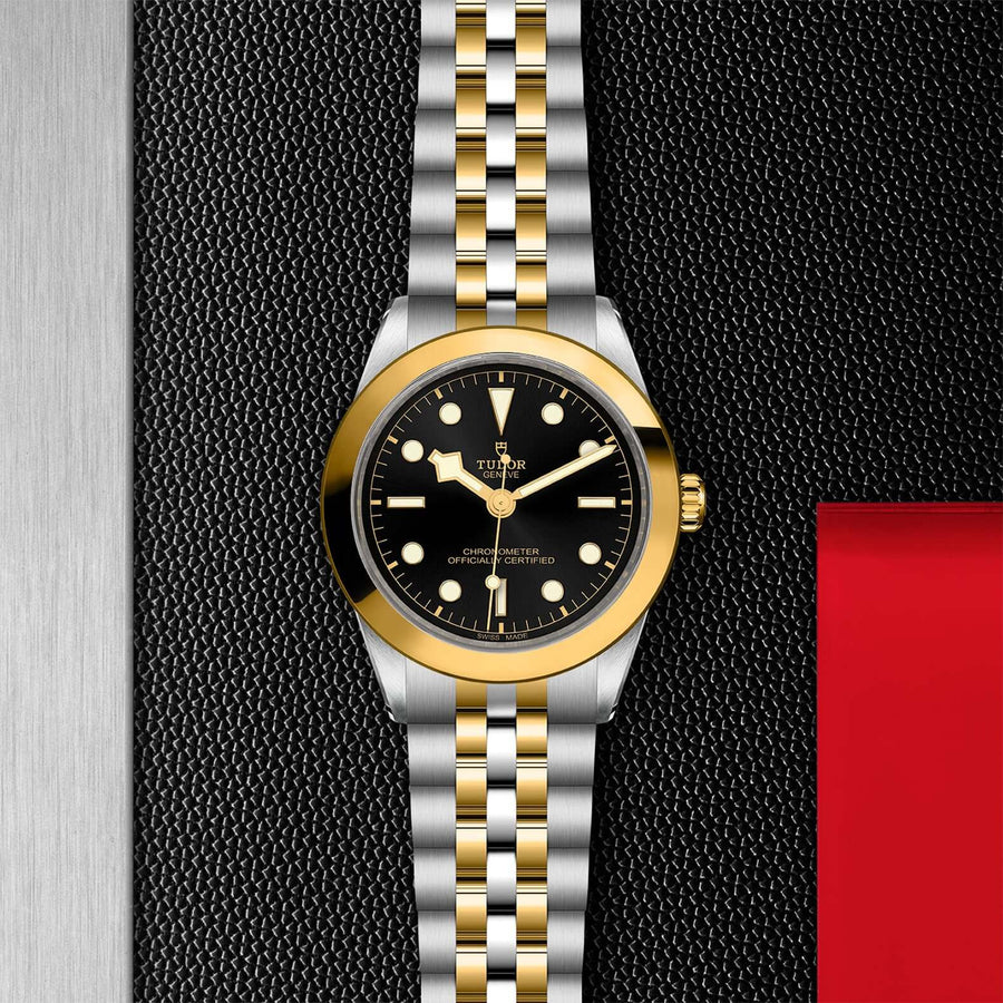 Tudor Black Bay 39 S&G M79663-0001 at Bandiera Jewellers Vaughan