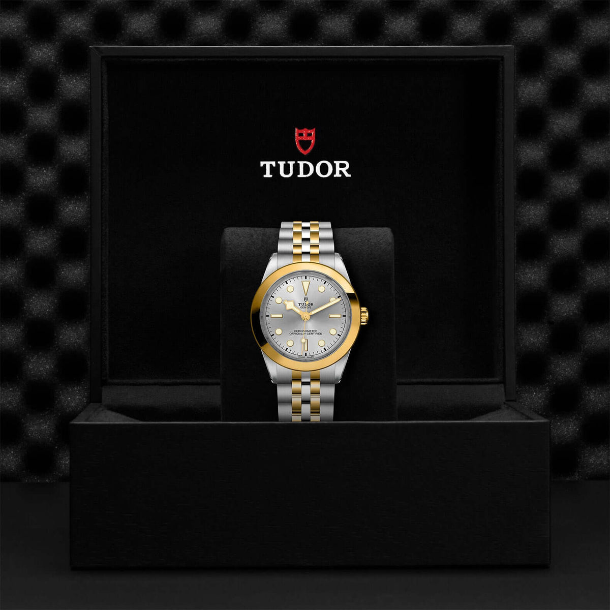 Tudor Black Bay 39 S&G M79663-0002 at Bandiera Jewellers Vaughan