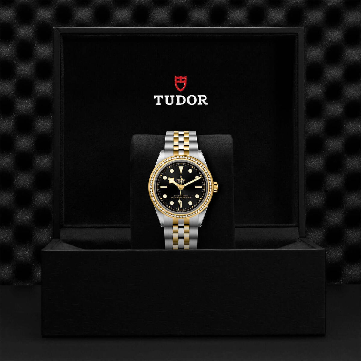 Tudor Black Bay 39 S&G M79673-0001 at Bandiera Jewellers Vaughan