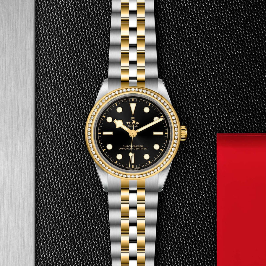 Tudor Black Bay 39 S&G M79673-0001 at Bandiera Jewellers Vaughan