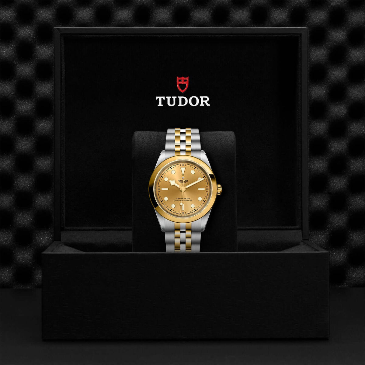 Tudor Black Bay 41 S&G M79683-0005 Bandiera Jewellers