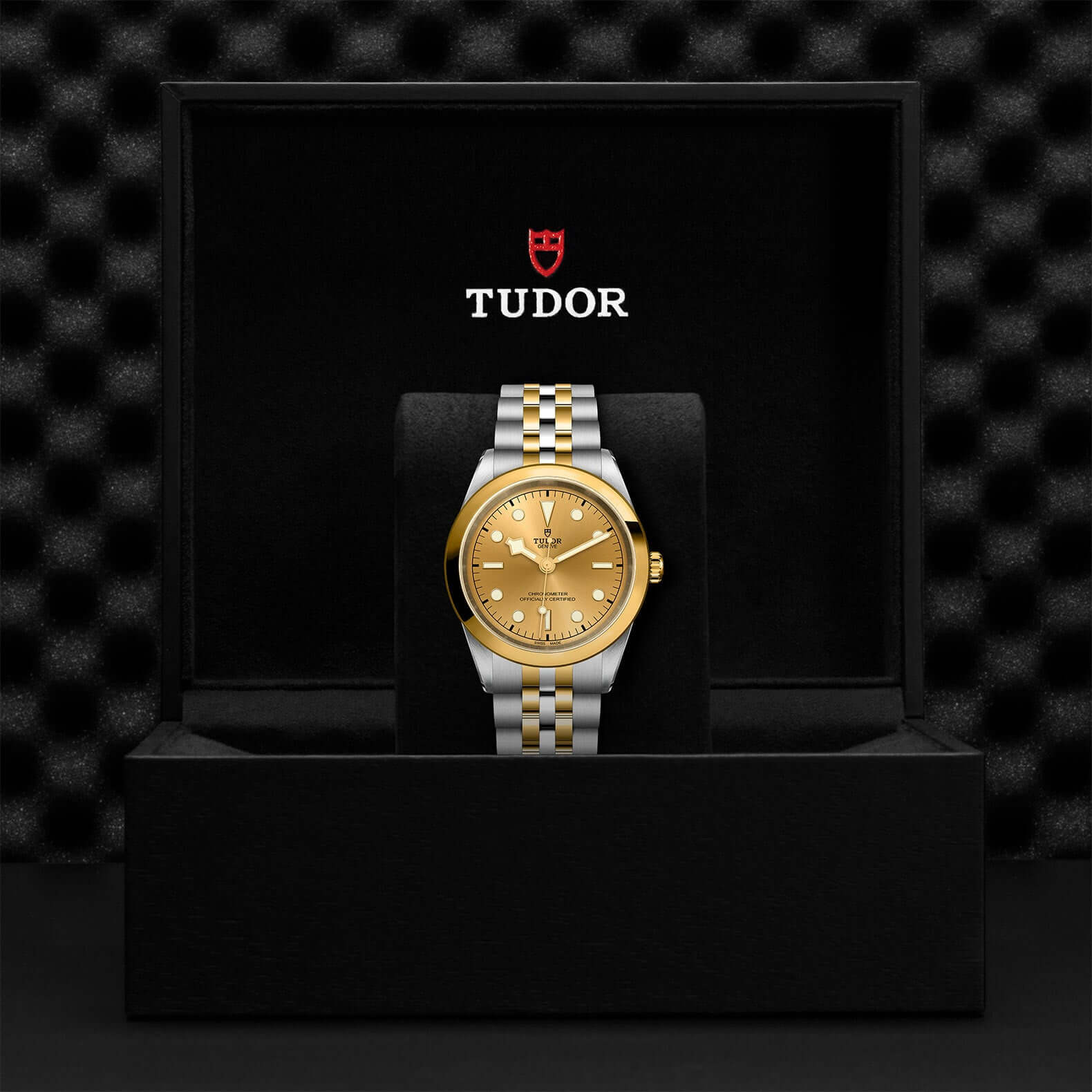 Tudor Black Bay 41 S&G M79683-0005 Bandiera Jewellers