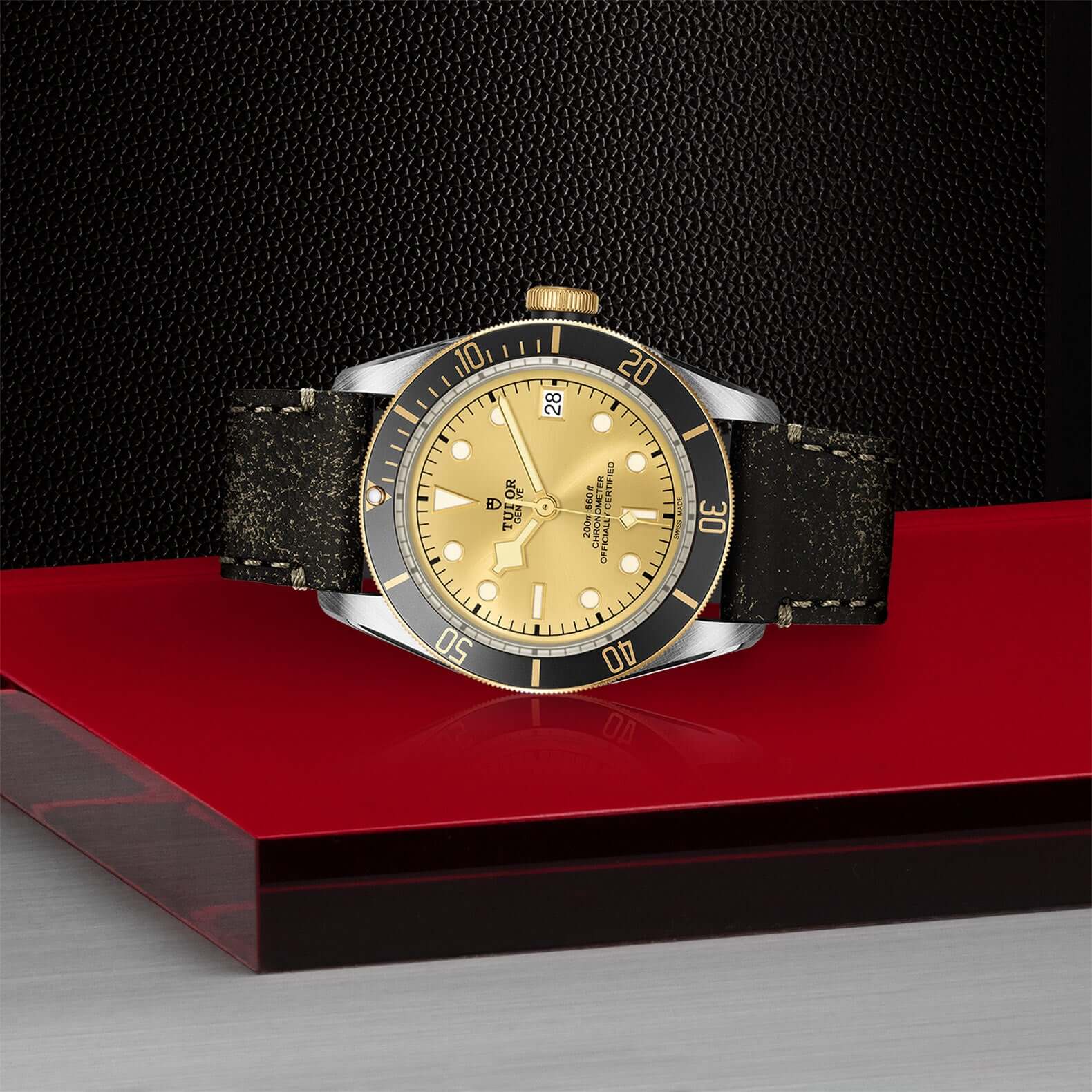 Tudor Black Bay Steel and Gold M79733N-0003 Bandiera Jewellers Vaughan