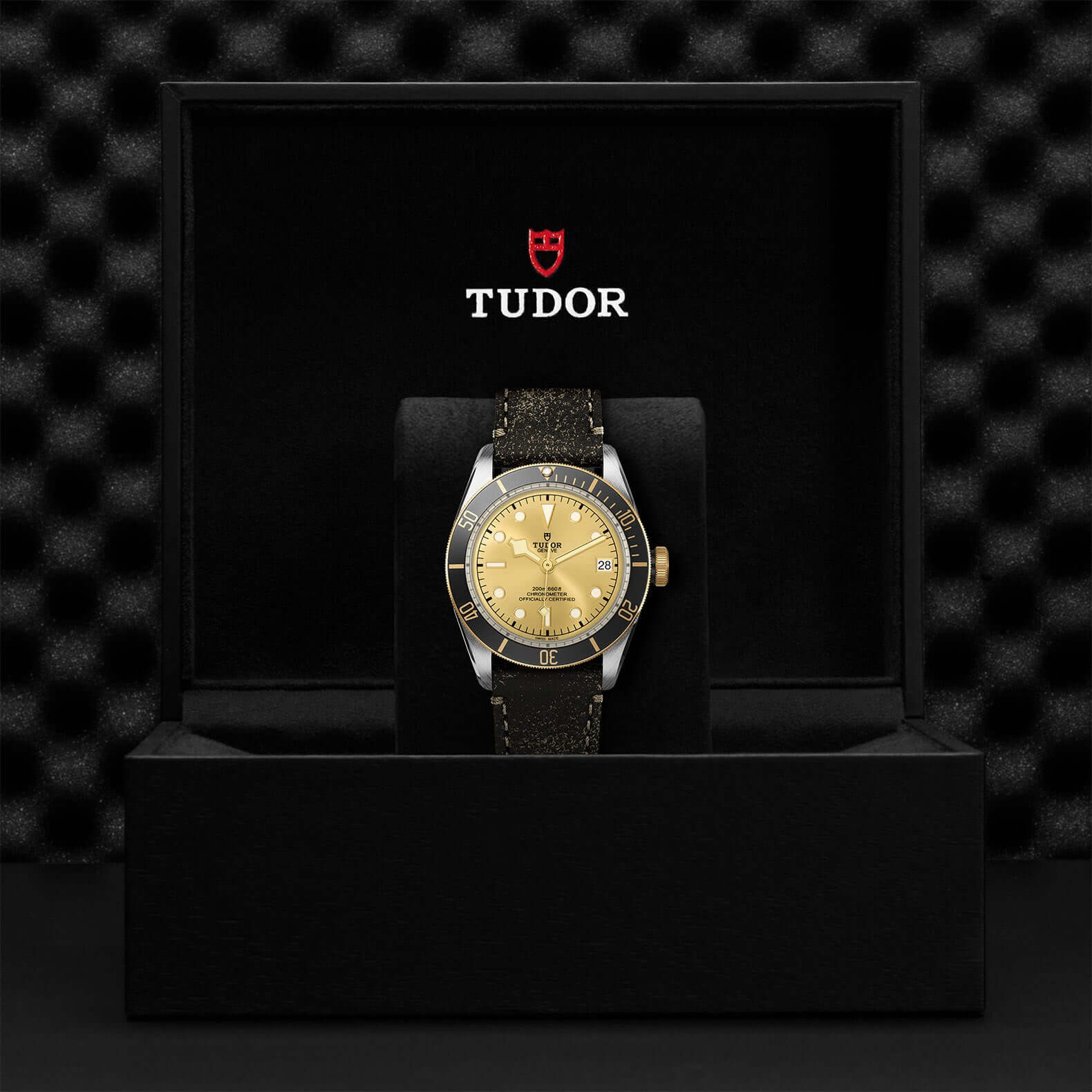 Tudor Black Bay Steel and Gold M79733N-0003 Bandiera Jewellers Vaughan